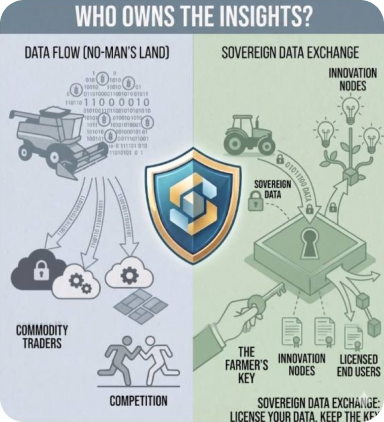 Data ownership vs insights blog post thumbnail